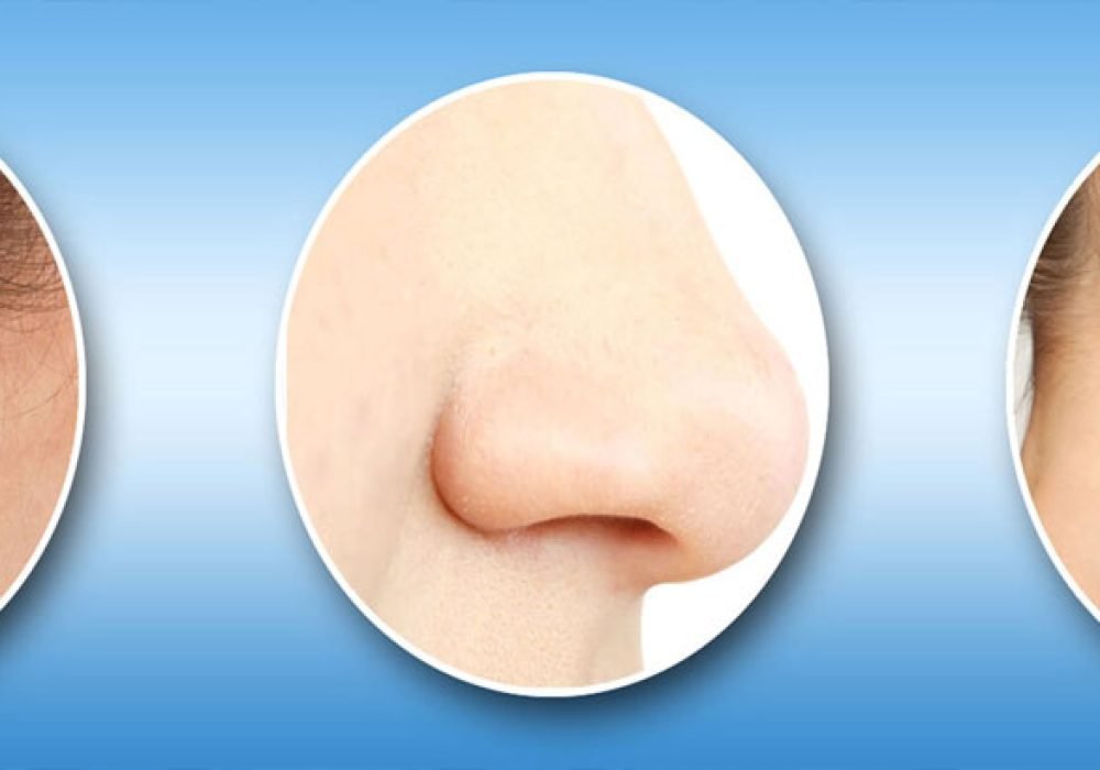 Ear-Nose-and-Throat-ENT-1