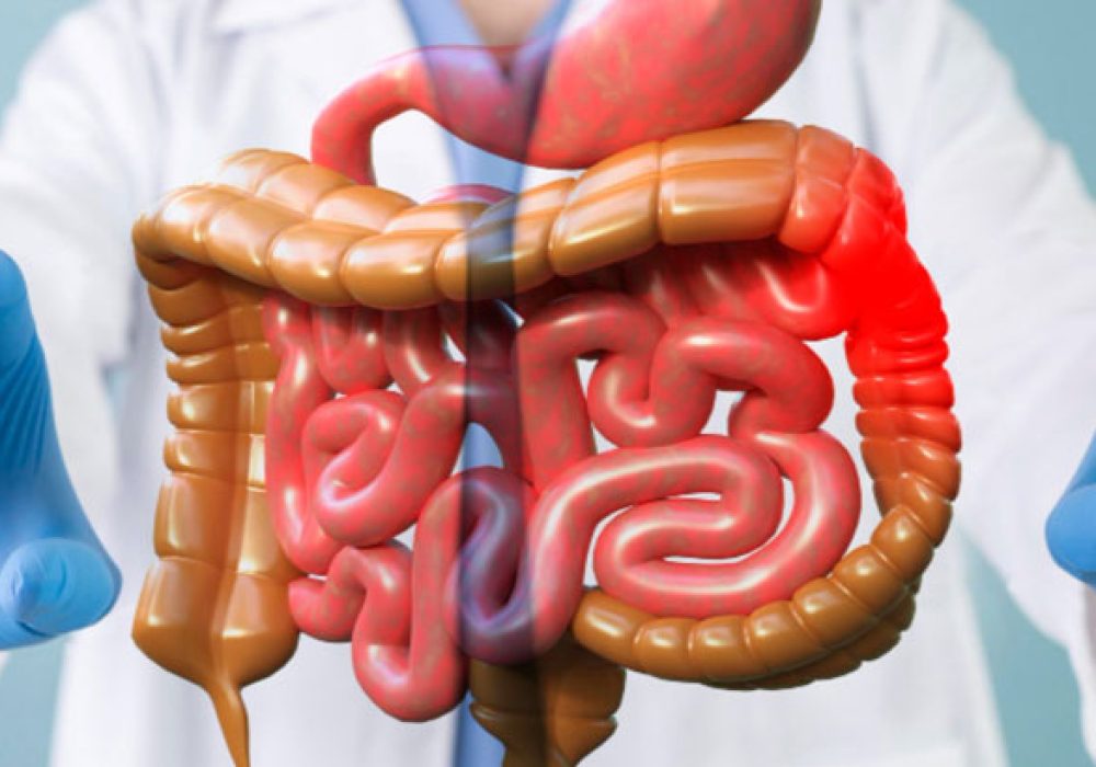 Gastroenterology-1 (1)