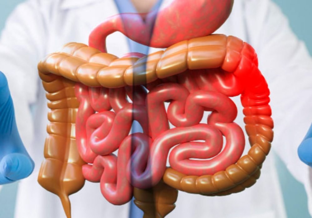 Gastroenterology-1 (1)