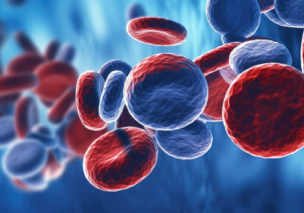 Hematology-1
