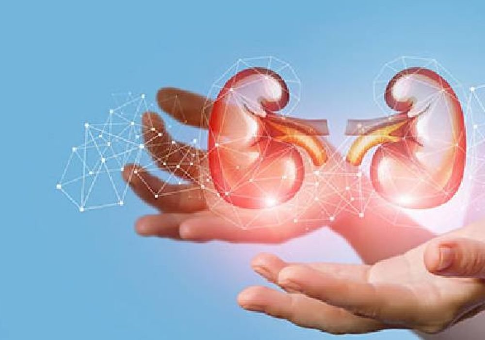 Organ-transplant-1