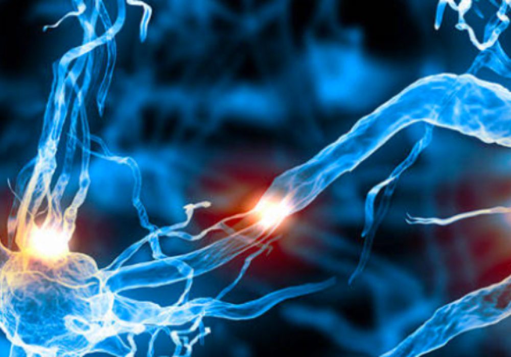 Stem-cell-1