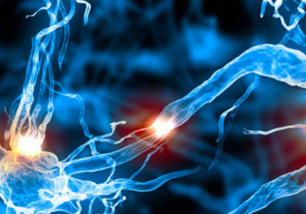 Stem-cell-1