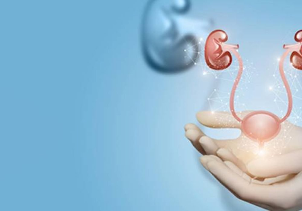 Urology-1